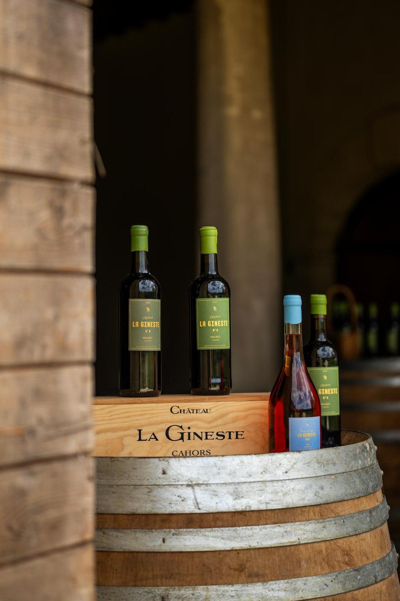 Chateau La Gineste - Castle And Vineyard Duravel Exterior foto